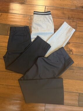 Zara Theory Everlane Office pants bundle sz 2